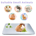  Hamster Cooling Pad, Ceramic Crystal Cooling Plate Pet Cooling Mat, Anti-bite Easy to Clean Ice Pad for Hamsters Rabbits (aluminum pad, Small (12 * 8cm,hamster))