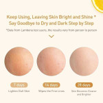 Lanbena Vitamin C Serum Brightening Skin 15ML