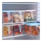 4-Piece Fridge Plastic Food Storage Containers With Lids Clear 31x15x16cm