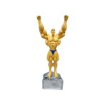 Gym Muscular Model Electroplating Trophy Yellow/Blue/Silver