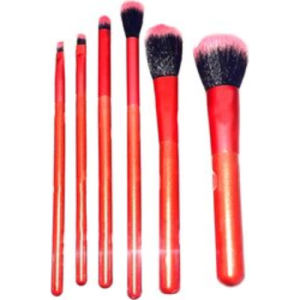 Professional 6Pcs Makeup Brush Set Powder Foundation Brush Blush brush, halo brush, eyeshadow brush, lip brush