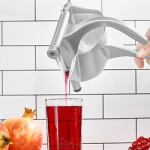 Stainless Steel Alloy Manual Fruit Press Lemon Squeezer, Silver