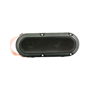 ProOne PSB4605  Portable Speaker