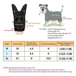 Pet Carrier Backpack Adjustable Pet Front Cat Dog Carrier Backpack Travel Bag,Backpack Carrier, for Walking, Travel, Hiking, Camping Legs Out (L)
