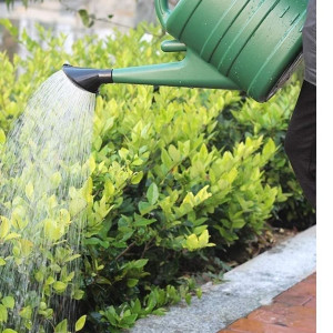 Watering Can 10 Liter For Garden