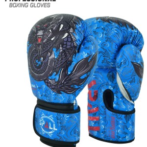 Boxing Gloves Dragon