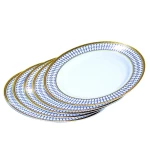 Rosymoment disposable plate 9 inch 5 piece set