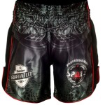 Spall Boxing Shorts For Men Muay Thai Shorts For Kickboxing Wrestling Grappling Fight And Cross Training Martial Arts Training Gym Clothing