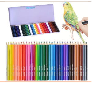 50 Color Pencil Set for Artists Kids Sketchers Students Colouring Drawing Pencils Gift for Birthday Art Kit Drawing Set Metal
