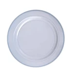 Rosymoment Premium Quality Plastic silver Dinner Plate 9 Inch, Set Of 10 Pieces