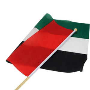 UAE FLAG 20X28 WITH WOODEN STICK 12 PCS PACKING WITH UAE CARD PACKING MUD DRAGON MATERIAL