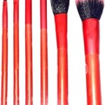 Professional 6Pcs 1 X 12 packets Makeup Brush Set Powder Foundation Brush Blush brush, halo brush, eyeshadow brush, lip brush