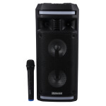 Rechargeable Professional Speaker, KNMS5196 | FM/USB/TF Card/Bluetooth/3.5 Aux Input | Wireless Microphone | Remote Control | LED Lights