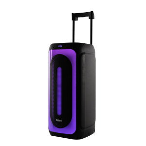 Krypton Portable and Rechargeable Party Speaker- KNMS5445| Trolley Party Speaker with EQ Effects, Wireless Mic and Remote Control