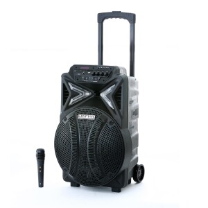 Krypton Portable & Rechargeable Professional Speaker - Comfortable Handle with Rolling Wheels | USB, SD Card, FM, Mic, Bluetooth & Remote
