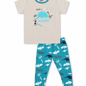 Luqu 2 Piece Toddler Kids Cotton Pyjama Set Sleepwear, Short Sleeve T-Shirt, Grey Stegosaurus