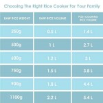 Plastic Rice Cooker 1.8 L 650 W NR674N3 White/Pink/Black