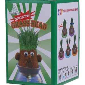 Creative And Educational, Learning Growing Grass Head Craft Indoor For Kids inch