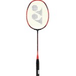 Voltric 10 DG Badminton Racquet