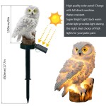 Owl Design Solar Power LED Lawn Lamp Multicolour 25x13.90x14.20centimeter