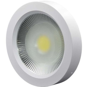 Round Surface COB LED Light White 30centimeter