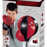 Pair Of Boxing Gloves With Punching Ball