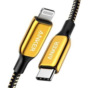 Lightning To USB C Cable Black/Gold