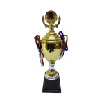 Trophy with Resin Decoration Electroplating Ornaments