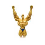 Gym Muscular Model Electroplating Trophy Yellow/Blue/Silver